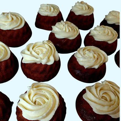 The Aggie Dolcini Dozen