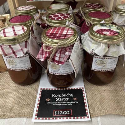 Kombucha Starter 