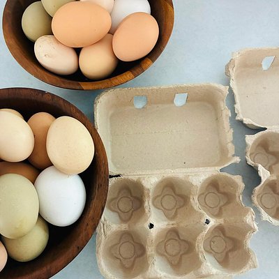 Farm Fresh Eggs