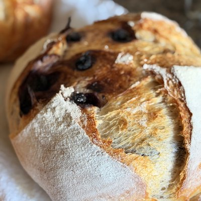 Blueberry sourdough 