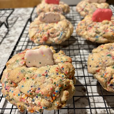 Savannah Gals Specialty Circus Animal Cookie-Dozen
