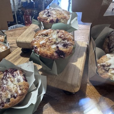 Sourdough huckleberry muffins