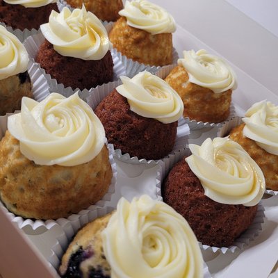Assorted Dolcini Dozen