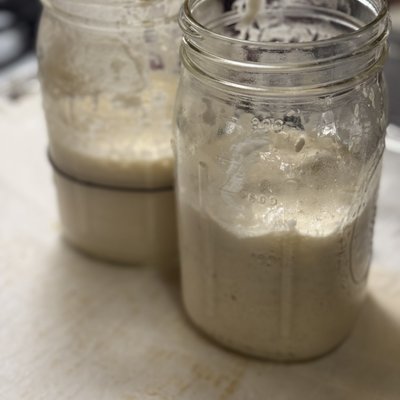 Sally The Sourdough Starter 