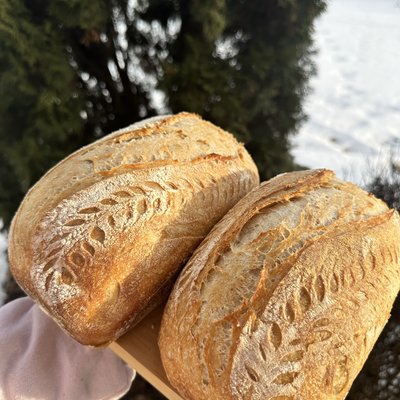 Classic Sourdough Loaf 