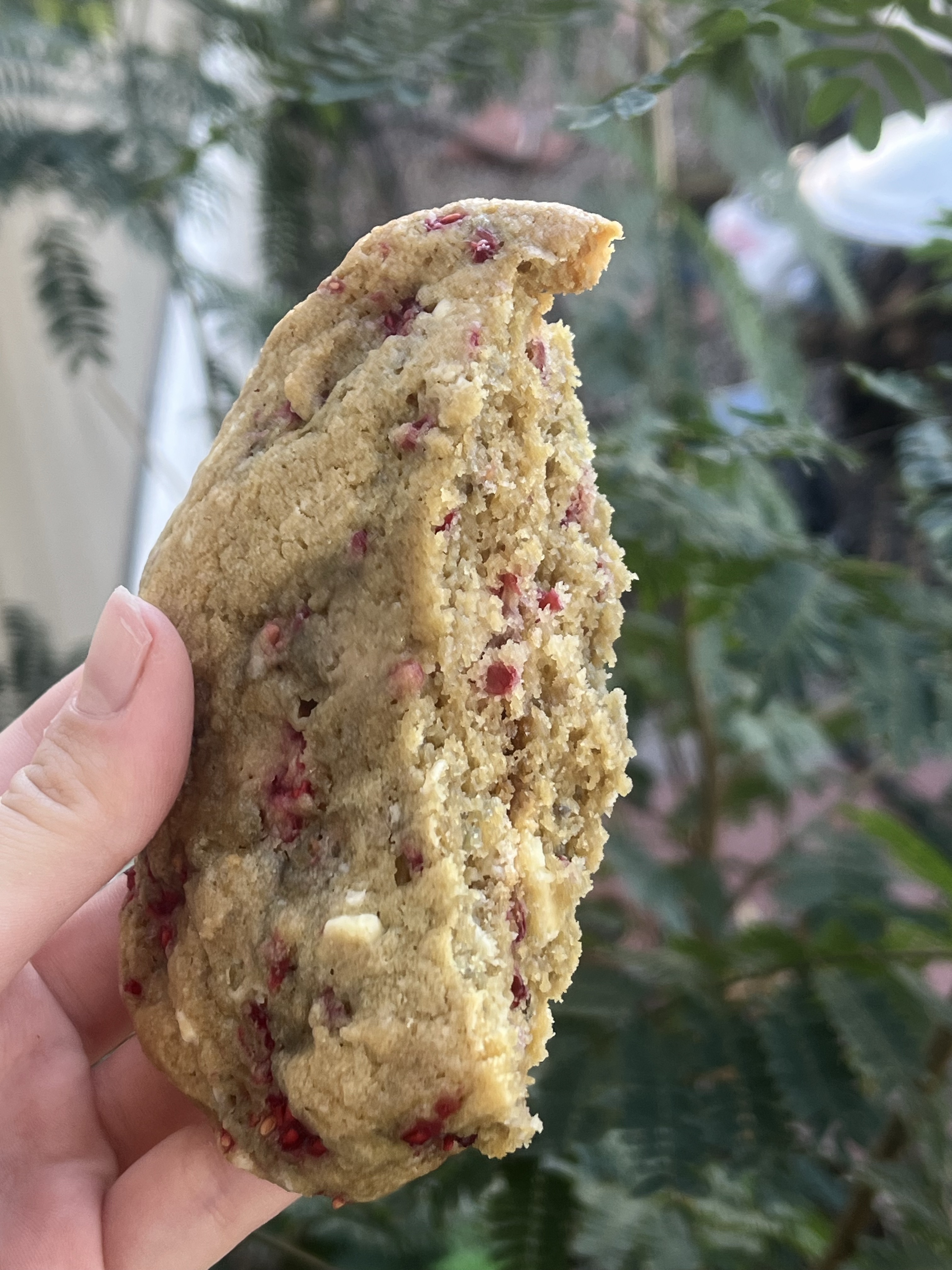 White Chocolate Raspberry Cookies