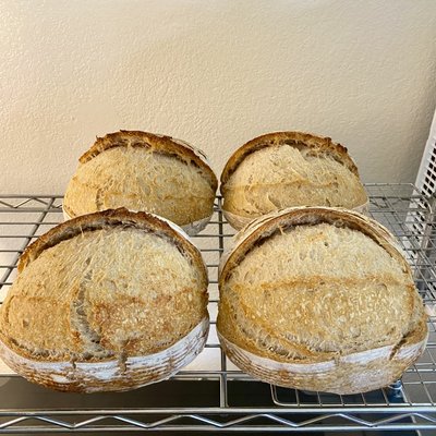 Organic Artisan Sourdough Half Loaf