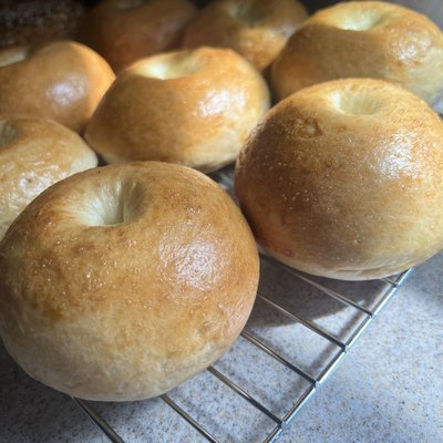 Plain Bagels