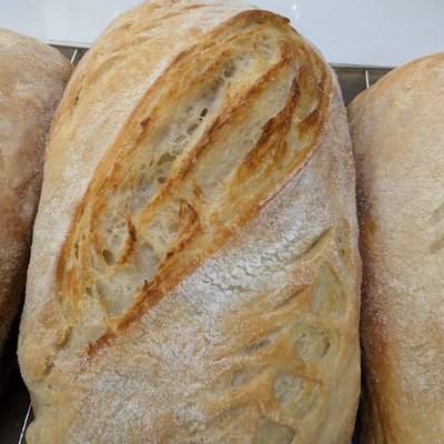 Croissant Sourdough