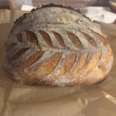 Plain & Simple Whole Sourdough Loaf 