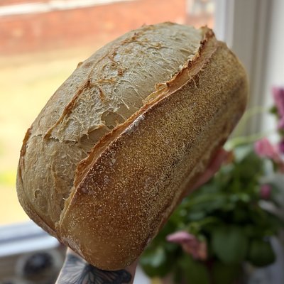 Sourdough English Muffin Loaf