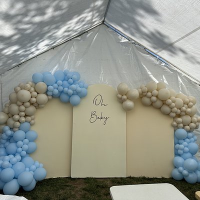 Balloon Garland + 3 Backdrops 