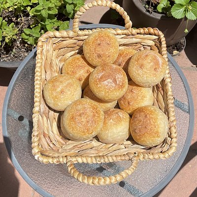 Sourdough Rolls