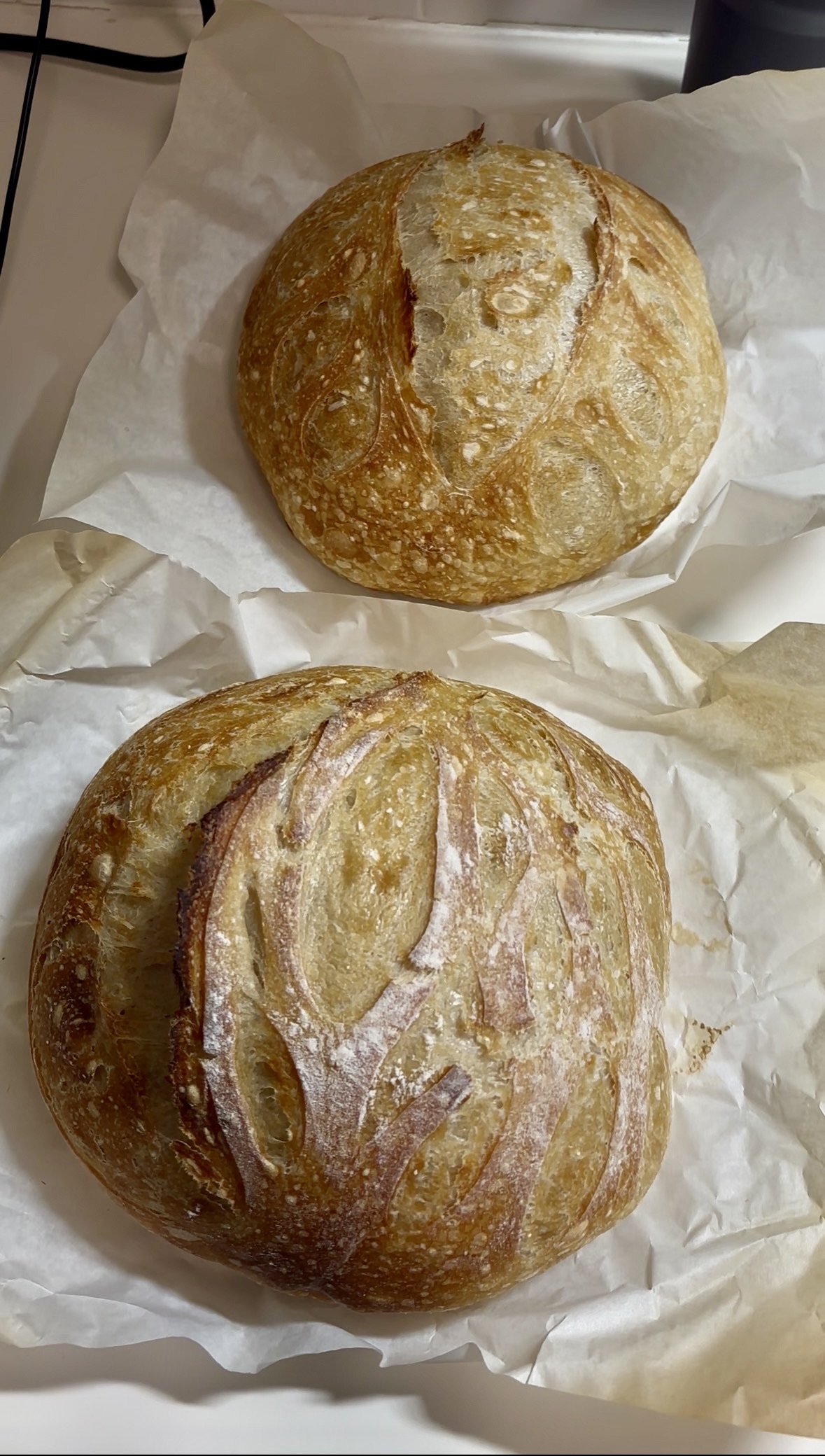 Classic Sourdough