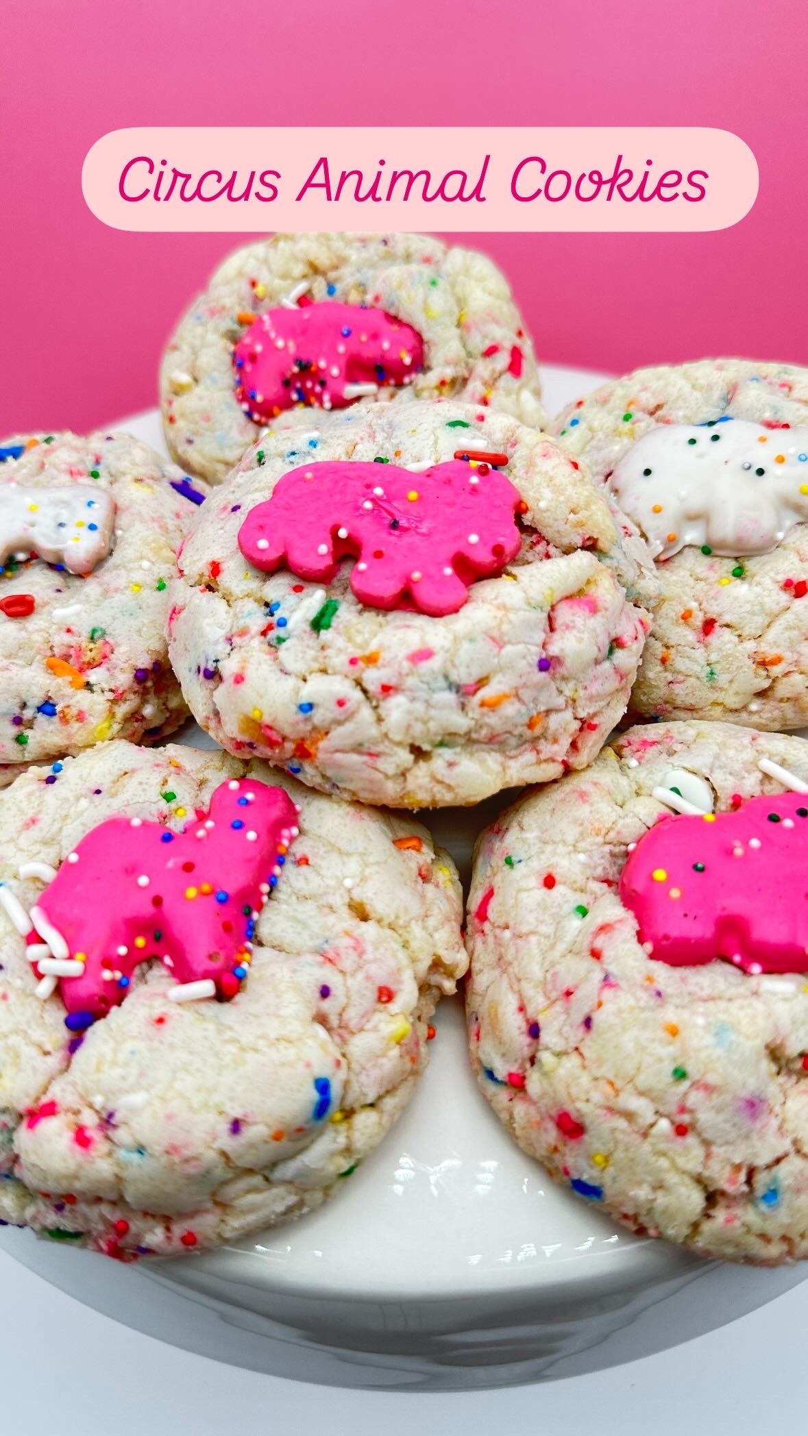 Circus Animal Cookies