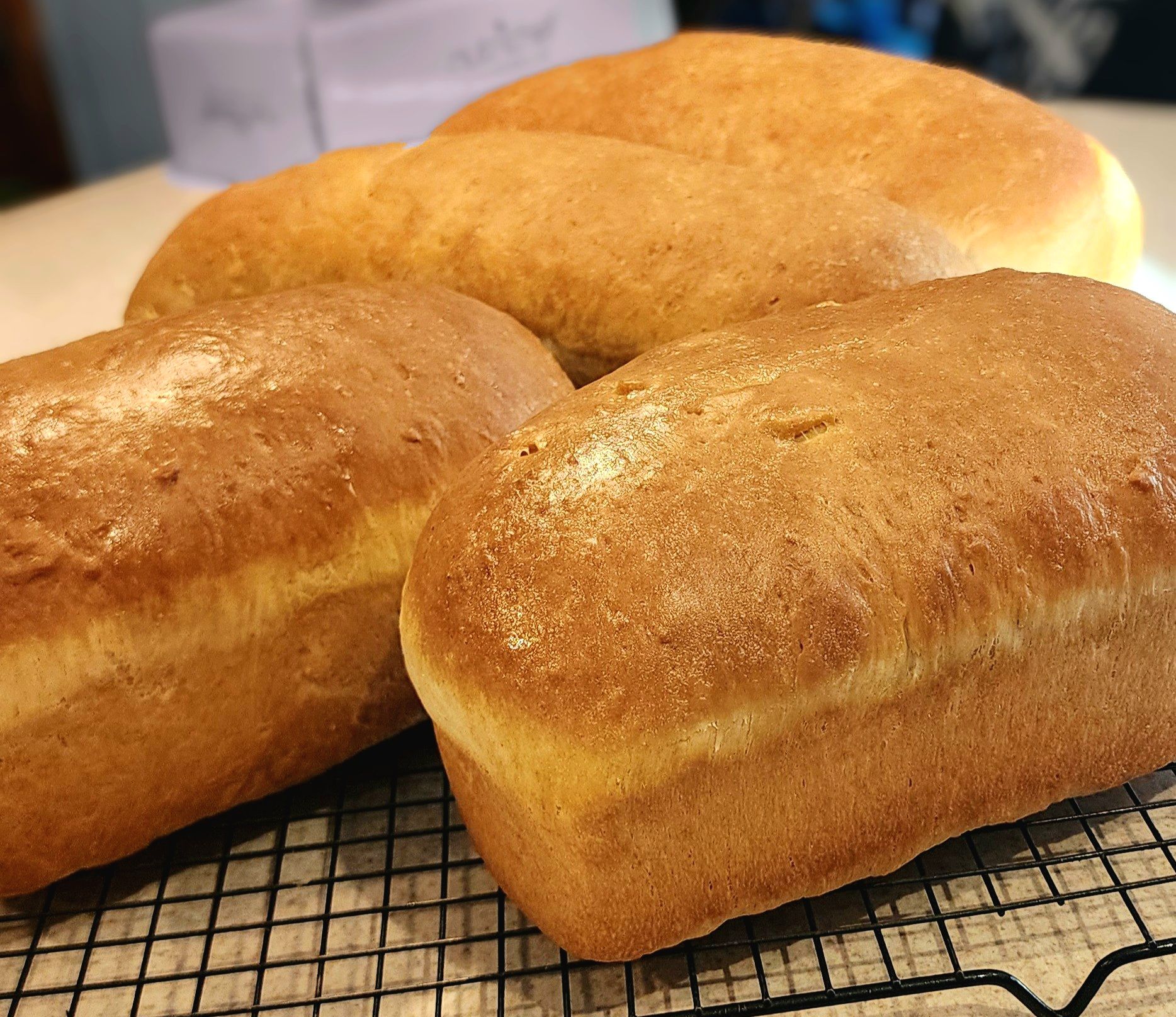 Regular Size Sourdough Sandwich Bread