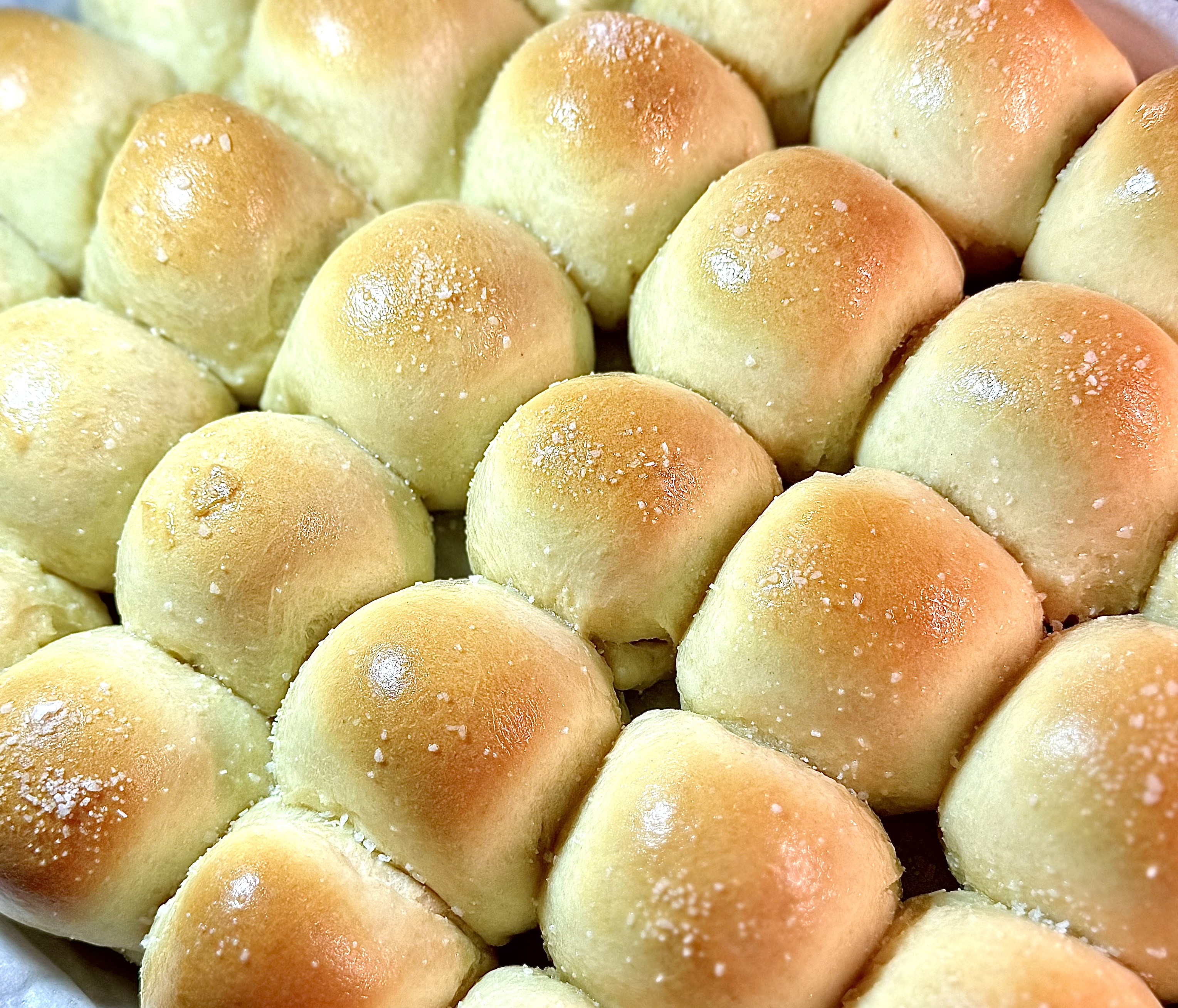 Dinner Rolls 