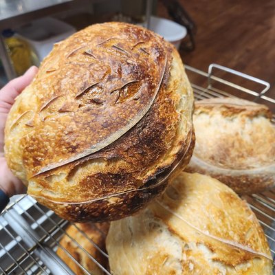 Asiago Cheddar Artisan Sourdough 