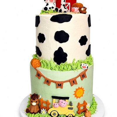2 Tiers Cake 
