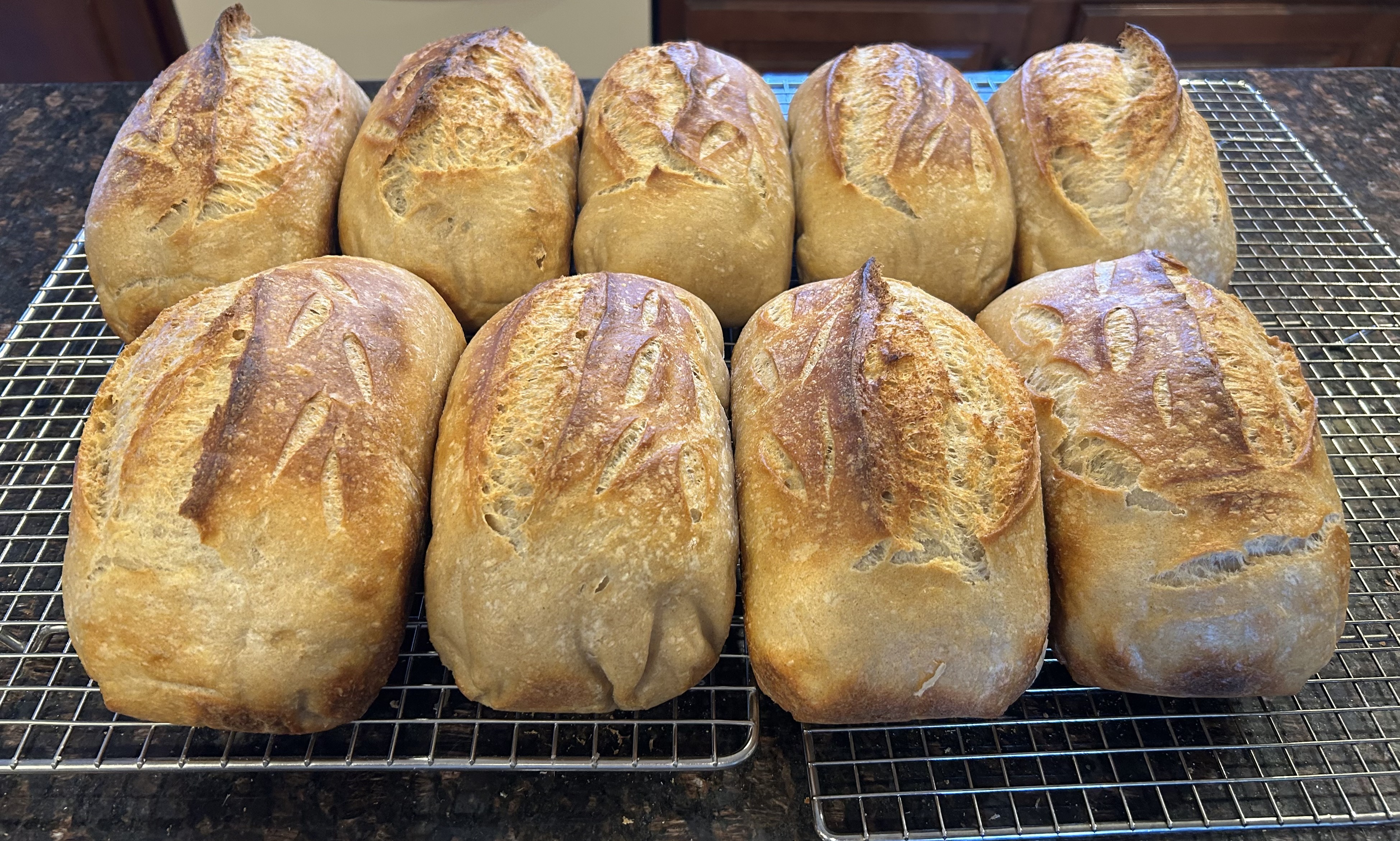 Sourdough Loaf 