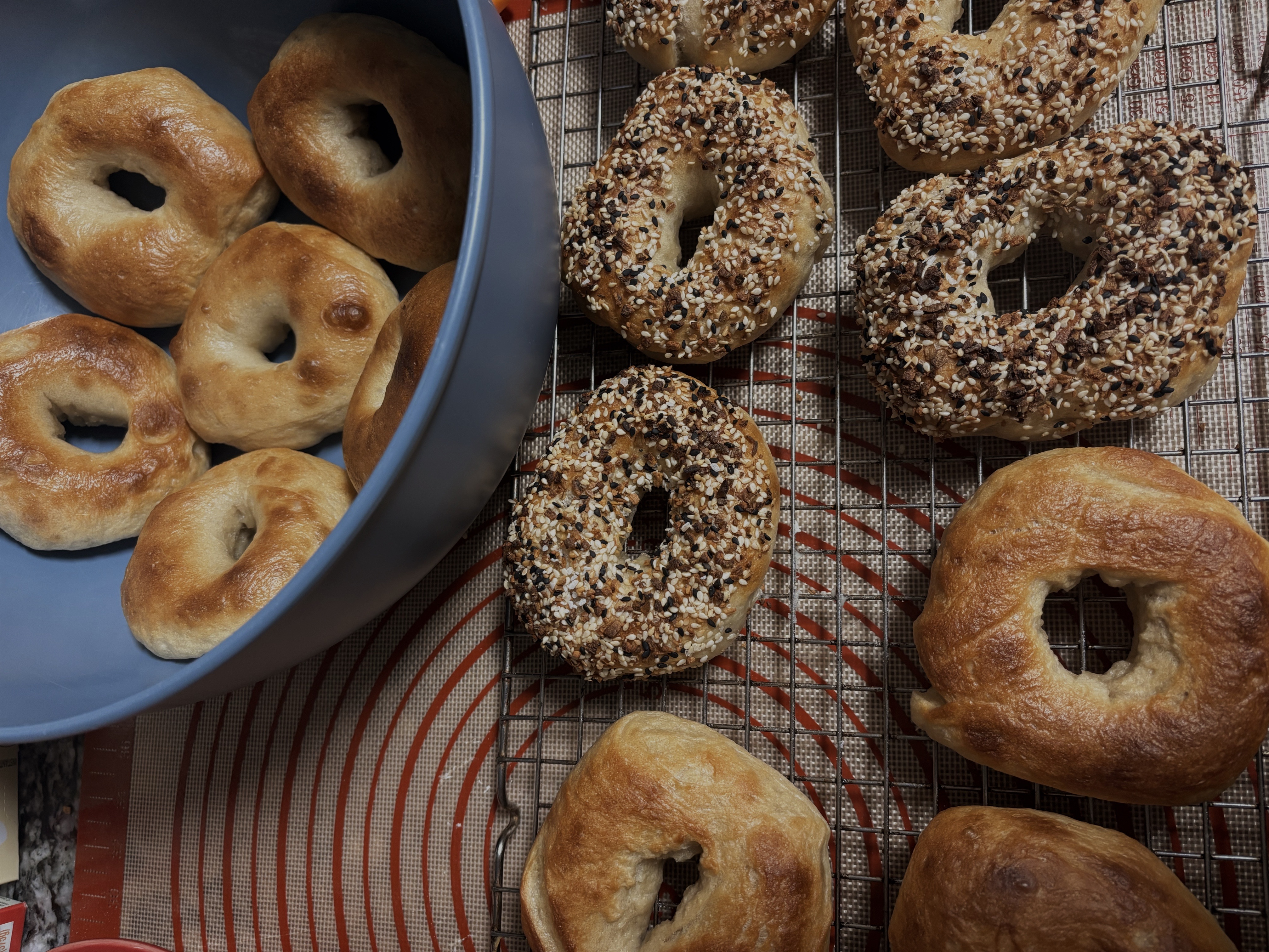 Sourdough Bagels (12) (NY Style)
