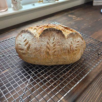Fresh Dill & White Cheddar Sourdough