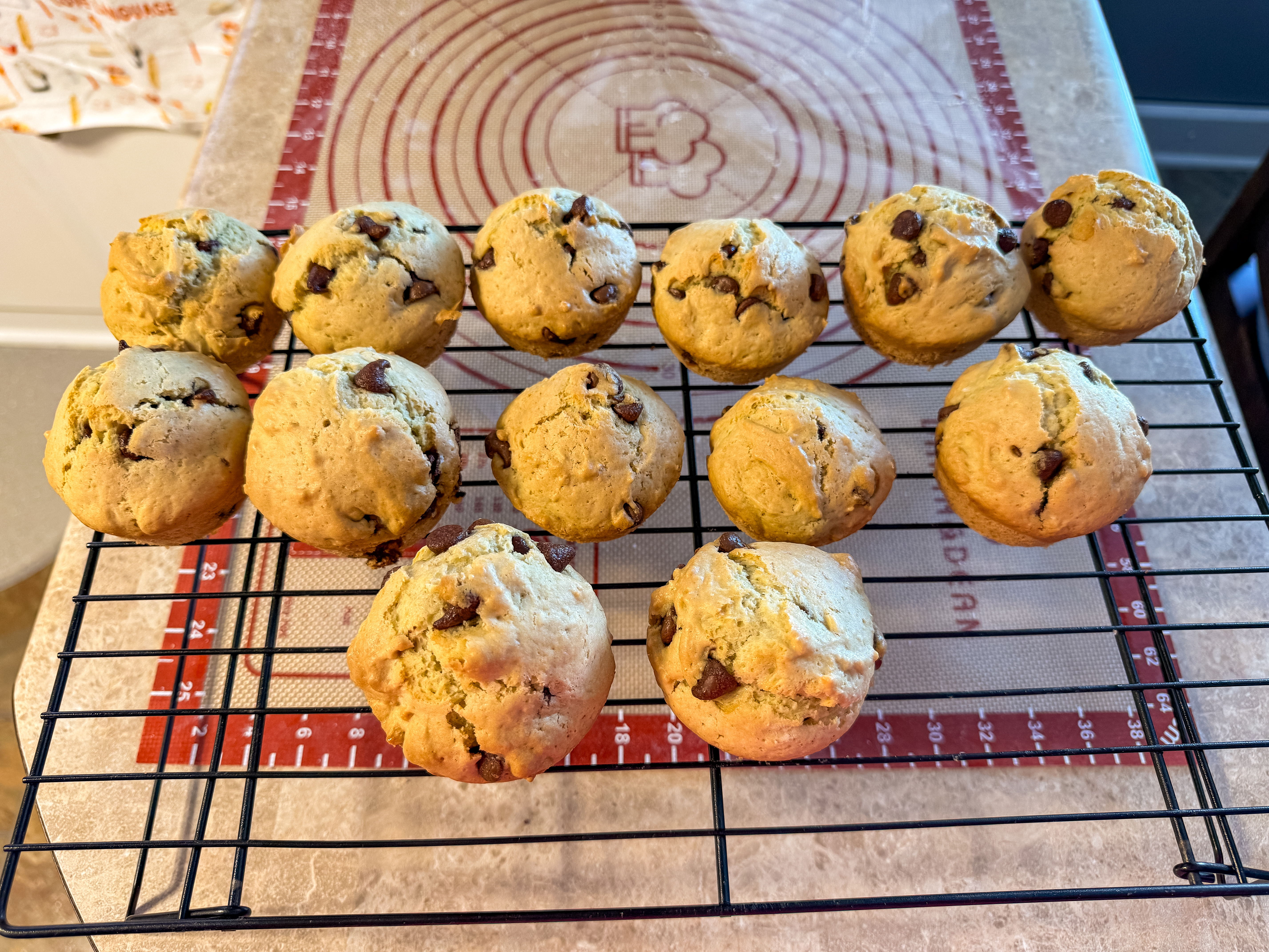 Sourdough Discard Chocolate Chip Muffins - Dozen