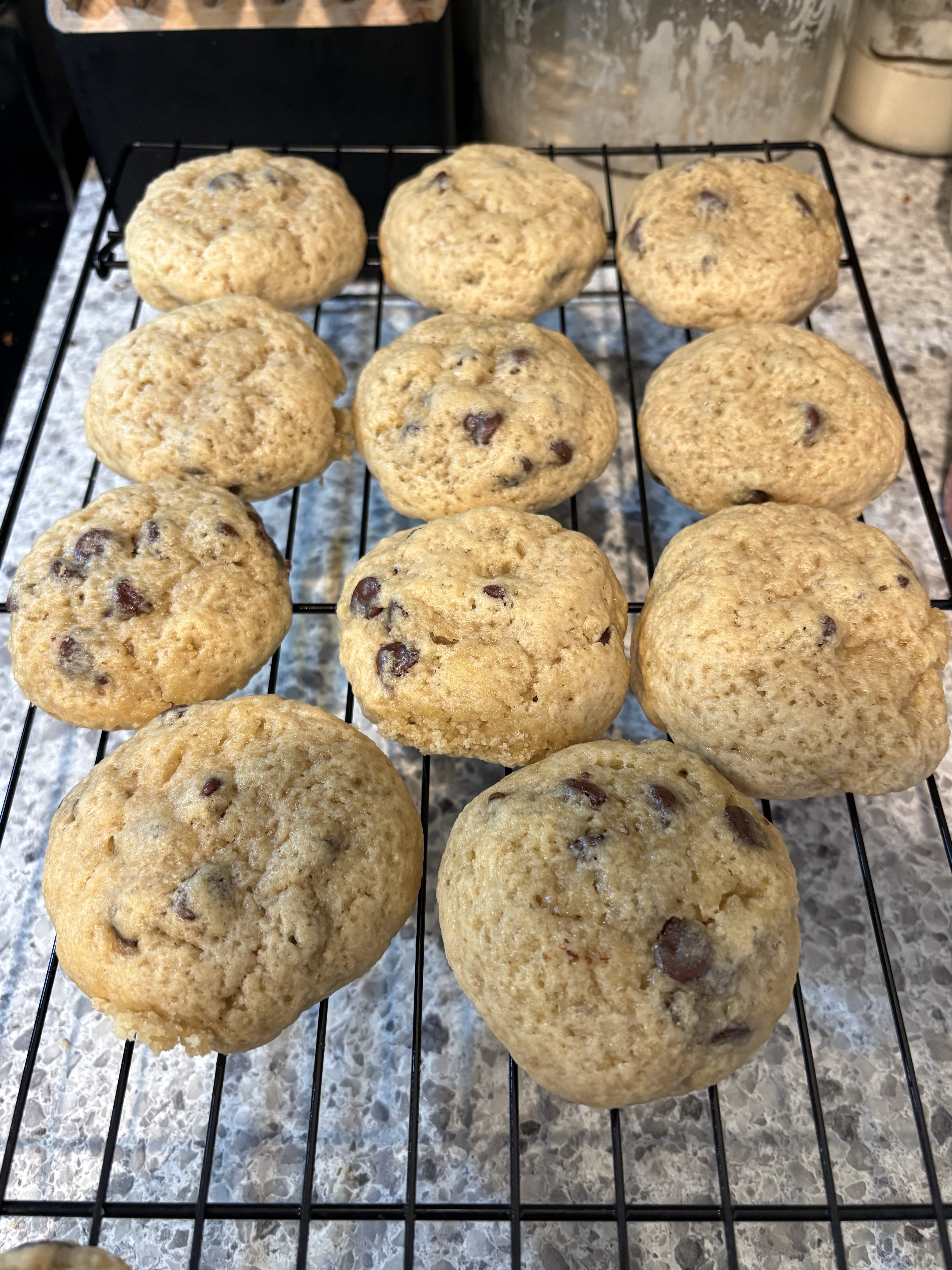 Sourdough Chocolate Chip Cookies 