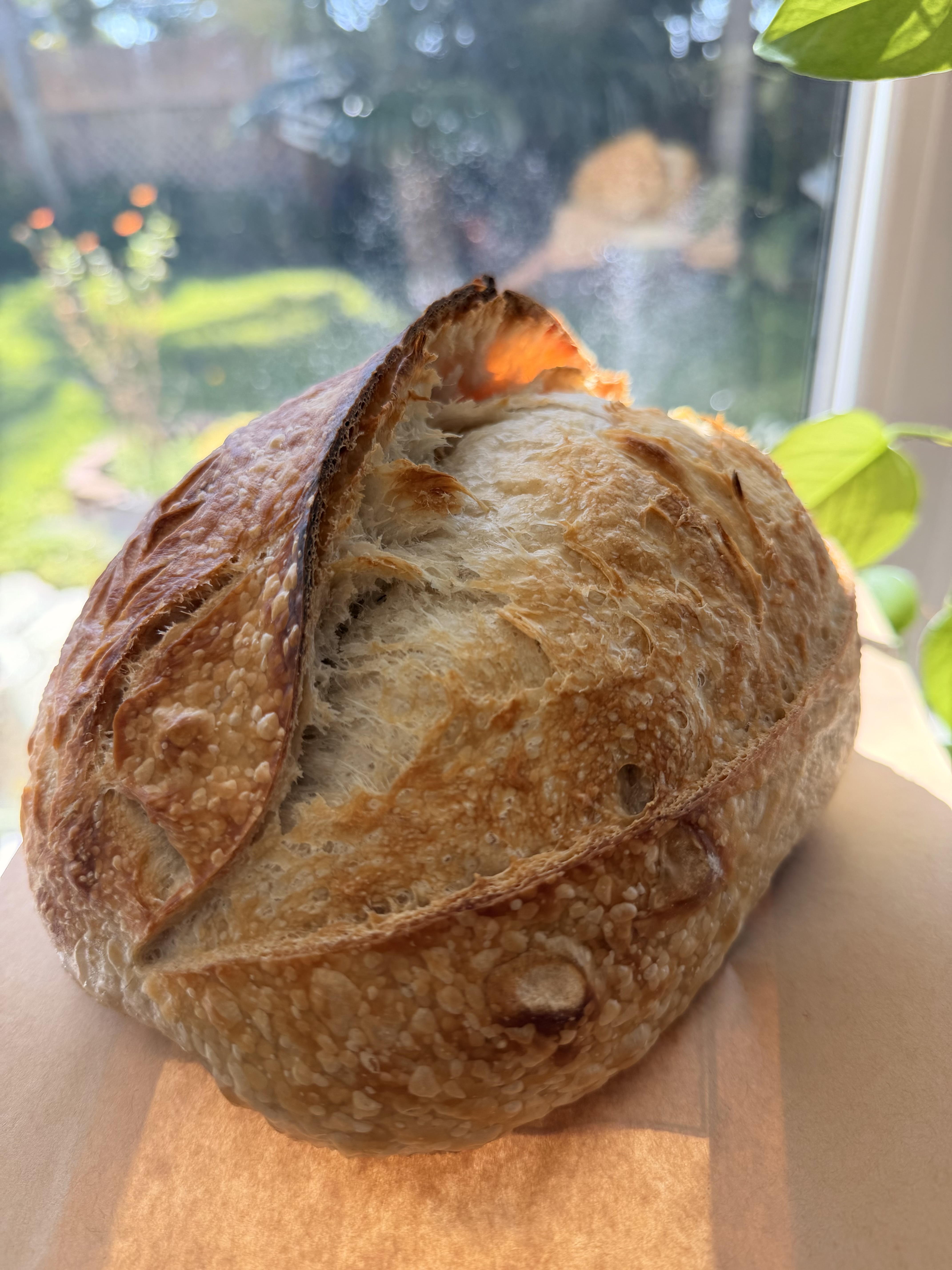 Large Organic Sourdough Loaf