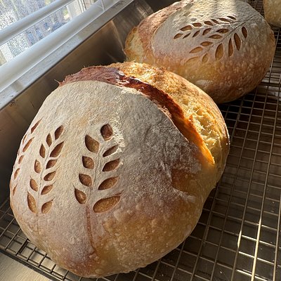 Country Original Sourdough Loaf 