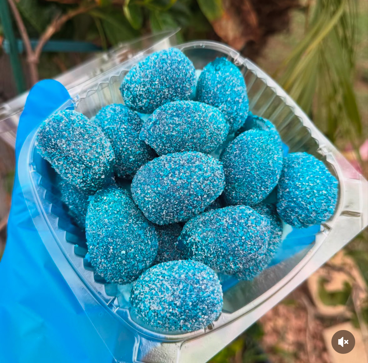 Xtreme Sour Blue Razz