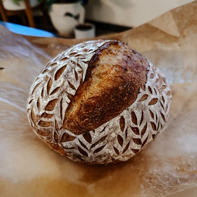 Classic Sourdough Loaf - 800g Loaf