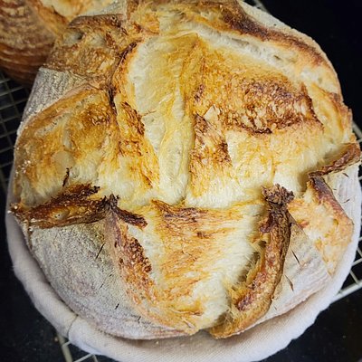 Traditional Sourdough Boule 