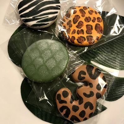Safari Themed Sugar Cookies With Royal Icing 
