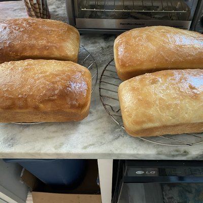 Yeasty White Sandwich Bread