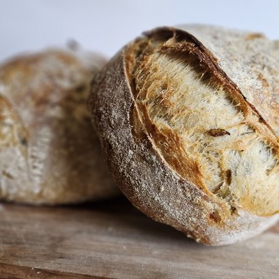 Olive + Rosemary Sourdough 