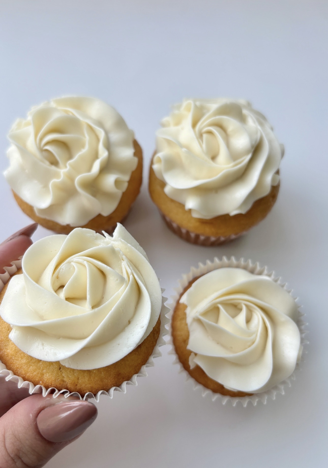 Simple Cupcakes 1 Dozen 