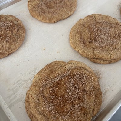 Savannah Gals Classic Snickerdoodle-Dozen