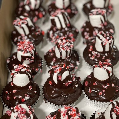 Gourmet Cupcakes 