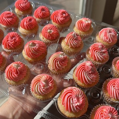 Mini Cupcakes 