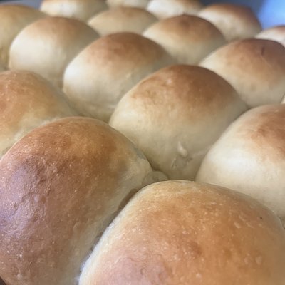 Dinner Rolls