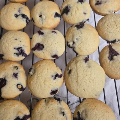 Lemon Blueberry Cookies 