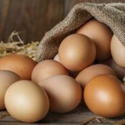 Free Range Organic Eggs