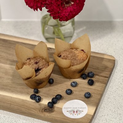 Blueberry Muffins 