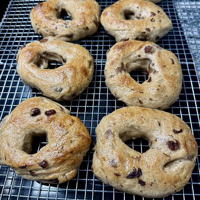 Sourdough Bagels - Cinnamon Raisin