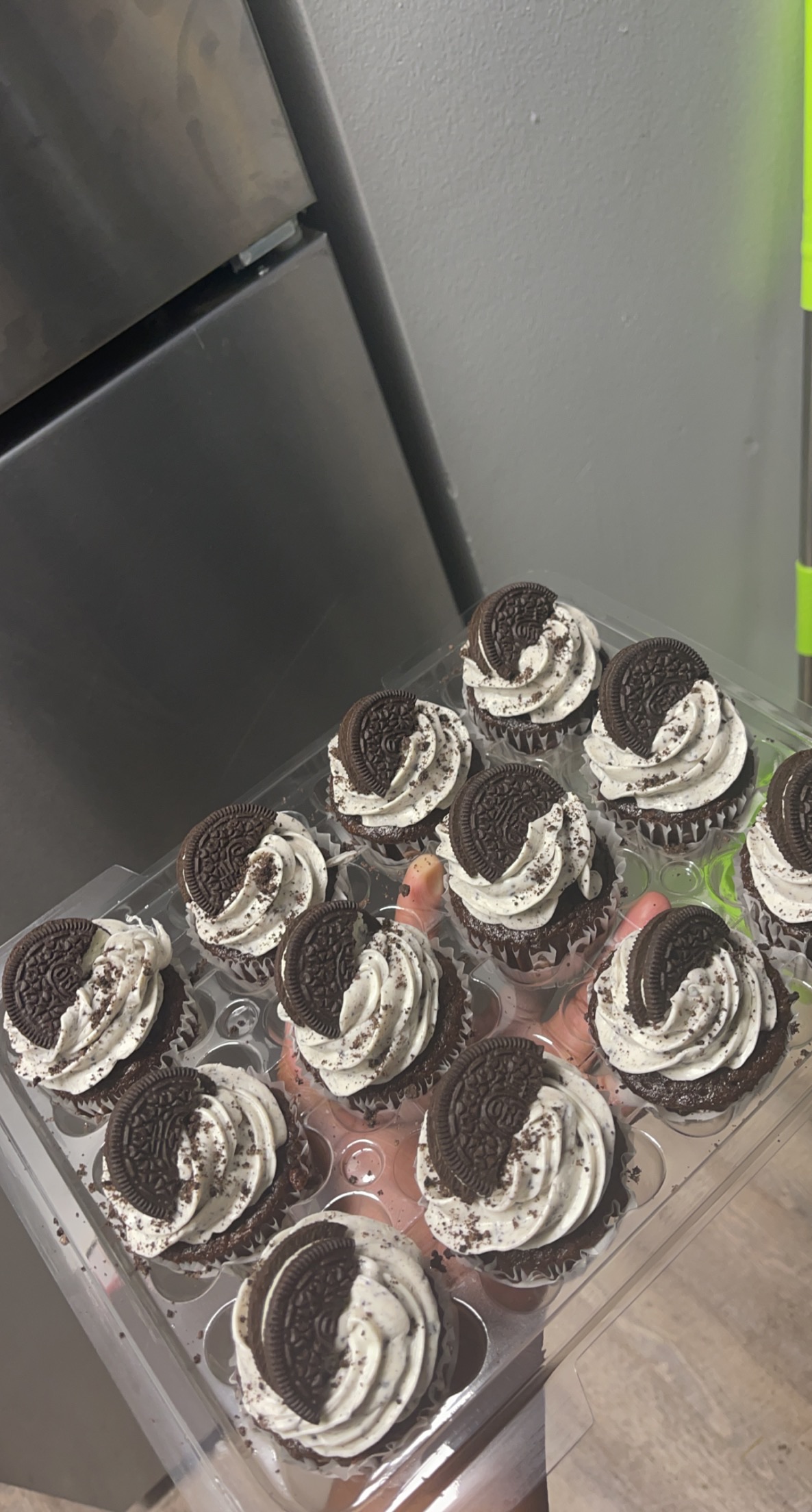 Dozen Cupcakes 