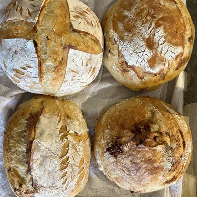 Sourdough-Artisan-Savory