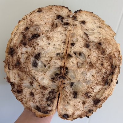 Chocolate Chip Artisan Loaf 