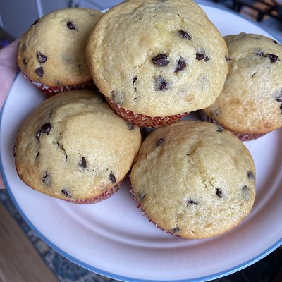 Chocolate Chip Muffins