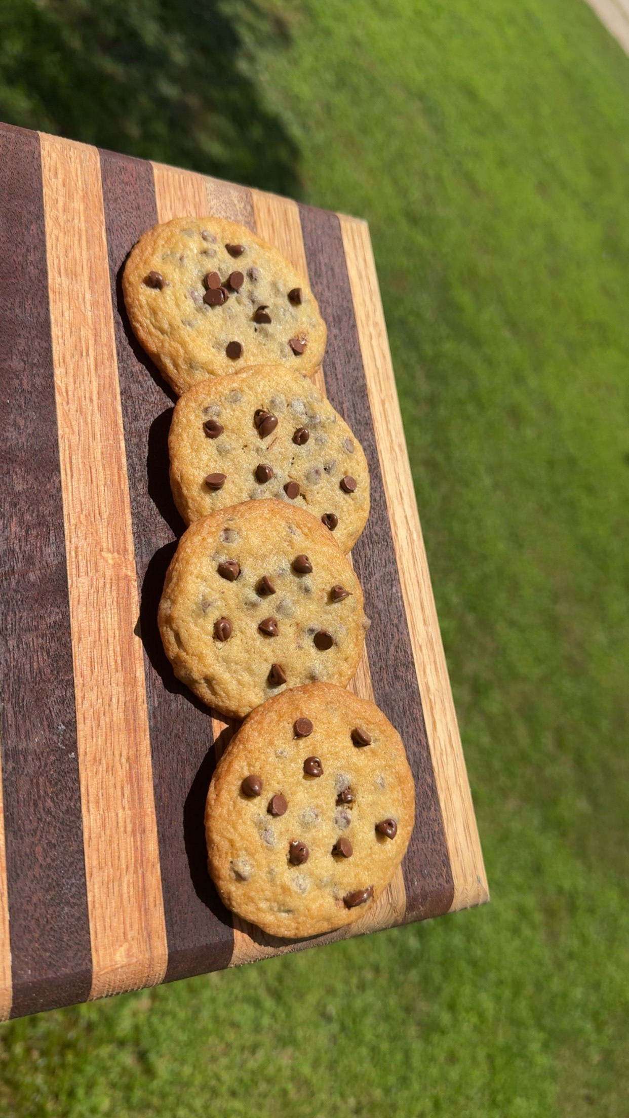 1 Dozen Of Chocolate Chip Cookies 